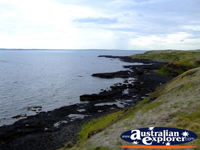 Phillip Island Shoreline View from the Nobbies . . . CLICK TO VIEW ALL PHILLIP ISLAND POSTCARDS