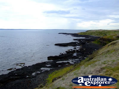 Phillip Island Shoreline View from the Nobbies . . . VIEW ALL PHILLIP ISLAND PHOTOGRAPHS