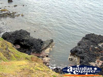 Phillip Island Scenery from the Nobbies . . . CLICK TO VIEW ALL PHILLIP ISLAND POSTCARDS