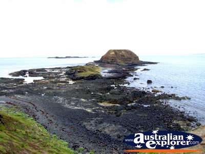 The Nobbies View of Phillip Island . . . CLICK TO VIEW ALL PHILLIP ISLAND POSTCARDS