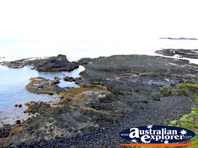 Phillip Island Scenic View from the Nobbies . . . CLICK TO VIEW ALL PHILLIP ISLAND POSTCARDS