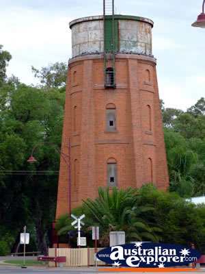 Swan Hill Tower . . . CLICK TO VIEW ALL SWAN HILL POSTCARDS
