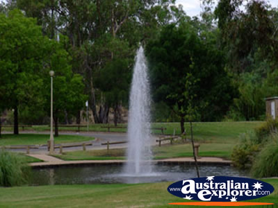 Swan Hill Fountain . . . CLICK TO VIEW ALL SWAN HILL POSTCARDS