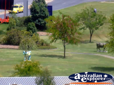 Shepparton Parkland View . . . VIEW ALL SHEPPARTON PHOTOGRAPHS