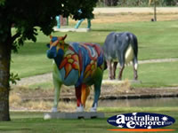 Colourful Shepparton Cow . . . CLICK TO ENLARGE
