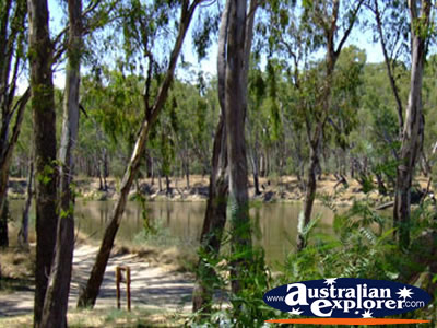 Cobram Murray River . . . VIEW ALL COBRAM PHOTOGRAPHS