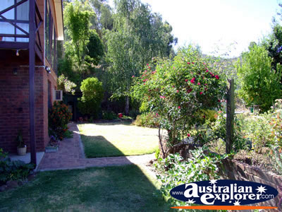 Yackandandah Beaumont B & B . . . VIEW ALL YACKANDANDAH PHOTOGRAPHS