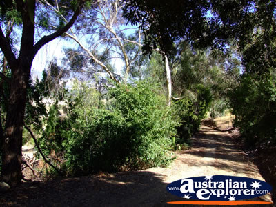 Yackandandah Road to Beaumont B & B . . . VIEW ALL YACKANDANDAH PHOTOGRAPHS
