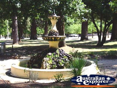 Beechworth Fountain . . . CLICK TO VIEW ALL BEECHWORTH POSTCARDS
