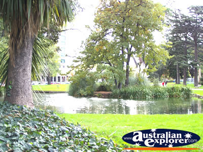 Carlton Garden Trees . . . VIEW ALL MELBOURNE (CARLTON GARDENS) PHOTOGRAPHS