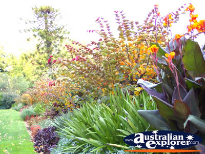 Pretty Fitzroy Gardens . . . VIEW ALL MELBOURNE (FITZROY GARDENS) PHOTOGRAPHS