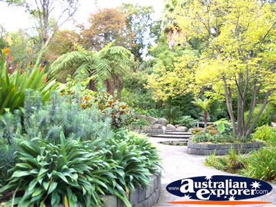 Paths leading through Fitzroy Gardens . . . VIEW ALL MELBOURNE (FITZROY GARDENS) PHOTOGRAPHS