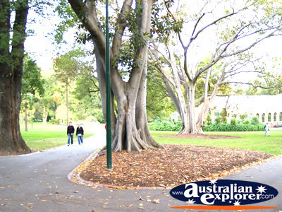 Fitzroy Gardens . . . CLICK TO VIEW ALL MELBOURNE (FITZROY GARDENS) POSTCARDS