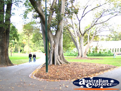 Fitzroy Gardens . . . VIEW ALL MELBOURNE (FITZROY GARDENS) PHOTOGRAPHS