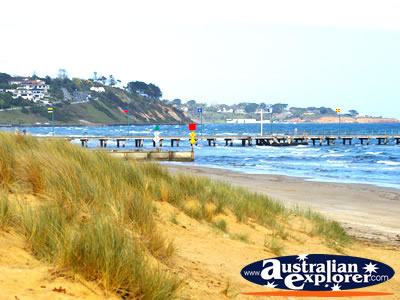 Sand Dunes on Frankston Beachfront . . . VIEW ALL FRANKSTON PHOTOGRAPHS