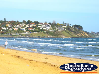 Frankston Beachfront . . . VIEW ALL FRANKSTON PHOTOGRAPHS