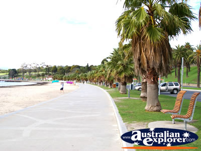 Boardwalk on the Geelong Waterfront . . . CLICK TO VIEW ALL GEELONG (ESPLANADE) POSTCARDS