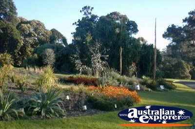 Melbourne Botanical Gardens View . . . CLICK TO VIEW ALL MELBOURNE (BOTANICAL GARDENS) POSTCARDS