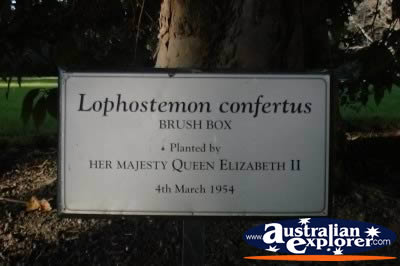 Melbourne Botanical Gardens Plant Sign . . . VIEW ALL MELBOURNE (BOTANICAL GARDENS) PHOTOGRAPHS