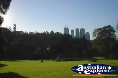 View of Melbourne City . . . CLICK TO VIEW ALL MELBOURNE (BOTANICAL GARDENS) POSTCARDS