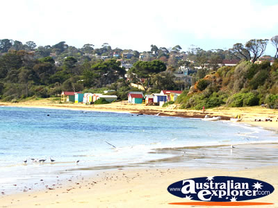 Picturesque Mornington Mills Beach . . . VIEW ALL MORNINGTON PHOTOGRAPHS