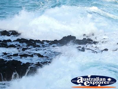 Beautiful shot of Nobbies Coastline . . . CLICK TO VIEW ALL PHILLIP ISLAND (THE NOBBIES) POSTCARDS