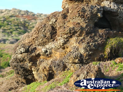 Rock Formations at Nobbies . . . CLICK TO VIEW ALL PHILLIP ISLAND (THE NOBBIES) POSTCARDS