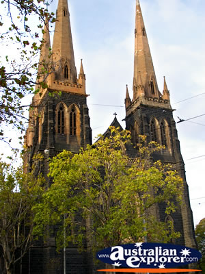 St Patricks Cathedral . . . CLICK TO VIEW ALL MELBOURNE POSTCARDS