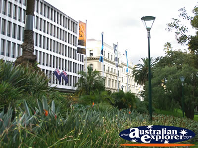 Beautiful Treasury Gardens . . . VIEW ALL MELBOURNE (TREASURY GARDENS) PHOTOGRAPHS