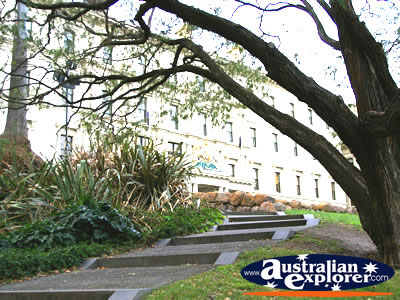 Treasury Gardens in Melbourne . . . CLICK TO VIEW ALL MELBOURNE (TREASURY GARDENS) POSTCARDS