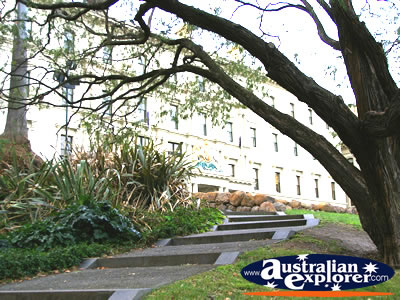 Treasury Gardens in Melbourne . . . VIEW ALL MELBOURNE (TREASURY GARDENS) PHOTOGRAPHS