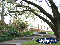 Treasury Gardens in Melbourne . . . CLICK TO ENLARGE