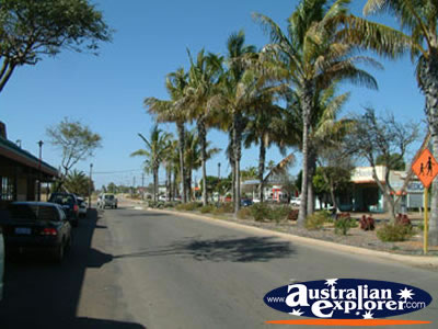 Palm Trees down Carnarvon Street . . . VIEW ALL CARNARVON PHOTOGRAPHS
