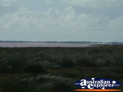 View of Northampton Pink Lake . . . VIEW ALL KALBARRI PHOTOGRAPHS