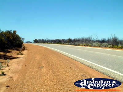 Street on Way to Dalwallinu . . . CLICK TO VIEW ALL DALWALLINU POSTCARDS