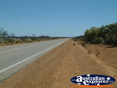 Road to Dalwallinu . . . CLICK TO VIEW ALL DALWALLINU POSTCARDS