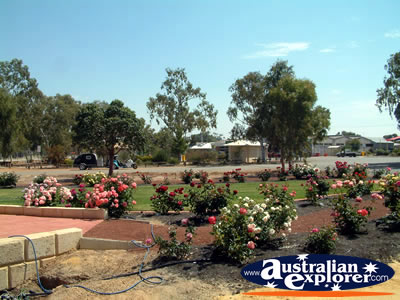 View of Meckering on Way to Merredin . . . VIEW ALL MECKERING PHOTOGRAPHS