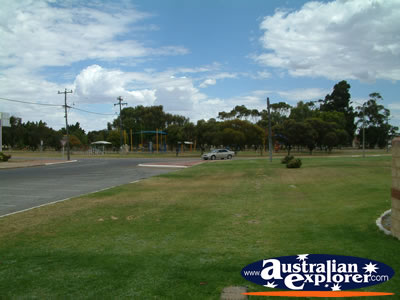 Merredin Shire Council . . . CLICK TO VIEW ALL MERREDIN POSTCARDS