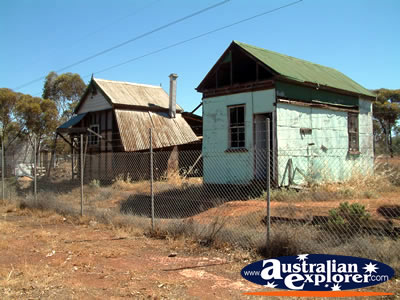 Kalgoorlie Past their Time . . . CLICK TO VIEW ALL KALGOORLIE POSTCARDS