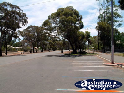 Norseman Street View . . . CLICK TO VIEW ALL NORSEMAN POSTCARDS