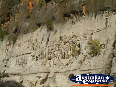 Fitzroy Crossing Geikie Gorge . . . VIEW ALL GEIKE GORGE PHOTOGRAPHS