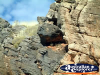 Western Australia's Fitzroy Crossing Geikie Gorge . . . CLICK TO ENLARGE