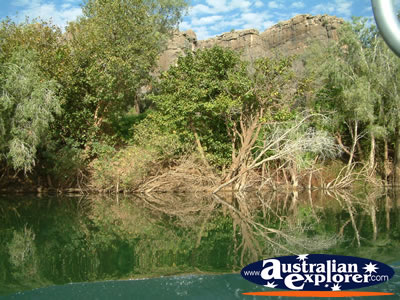 Natural Surroundings at Fitzroy Crossing Geikie Gorge . . . CLICK TO VIEW ALL GEIKE GORGE POSTCARDS
