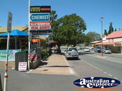 Dongara Street . . . VIEW ALL DONGARA PHOTOGRAPHS