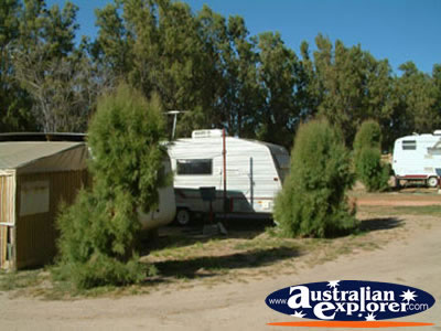 Dongara Caravan Park Caravan . . . VIEW ALL DONGARA PHOTOGRAPHS
