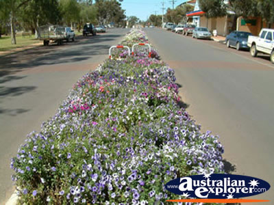 Dalwallinu main street . . . VIEW ALL DALWALLINU PHOTOGRAPHS