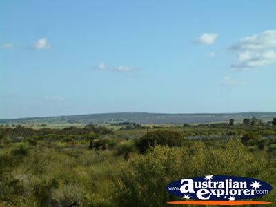 The View Between Three Springs & Eneabba . . . CLICK TO VIEW ALL THREE SPRINGS POSTCARDS