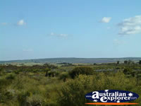The View Between Three Springs & Eneabba . . . CLICK TO ENLARGE