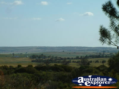 Landscape Between Three Springs & Eneabba . . . VIEW ALL THREE SPRINGS PHOTOGRAPHS