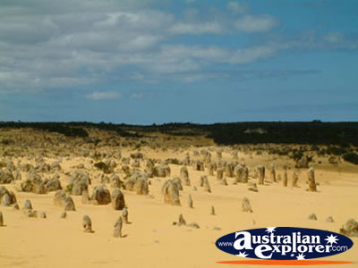 Cervantes the Pinnacles in Western Australia . . . CLICK TO VIEW ALL PINNACLES POSTCARDS
